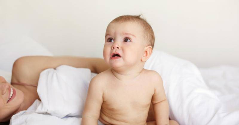 Freepik/cookie_studio