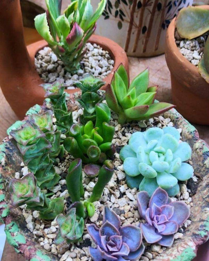 Instagram.com/nadinelist