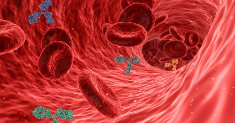 Pixabay/swiftsciencewriting