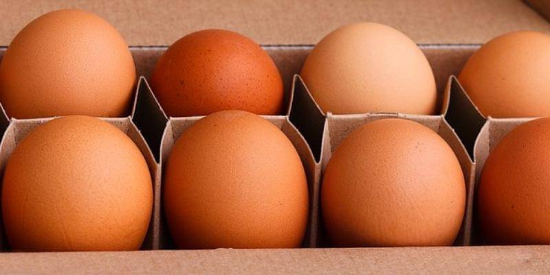 Pixabay/manfredrichter