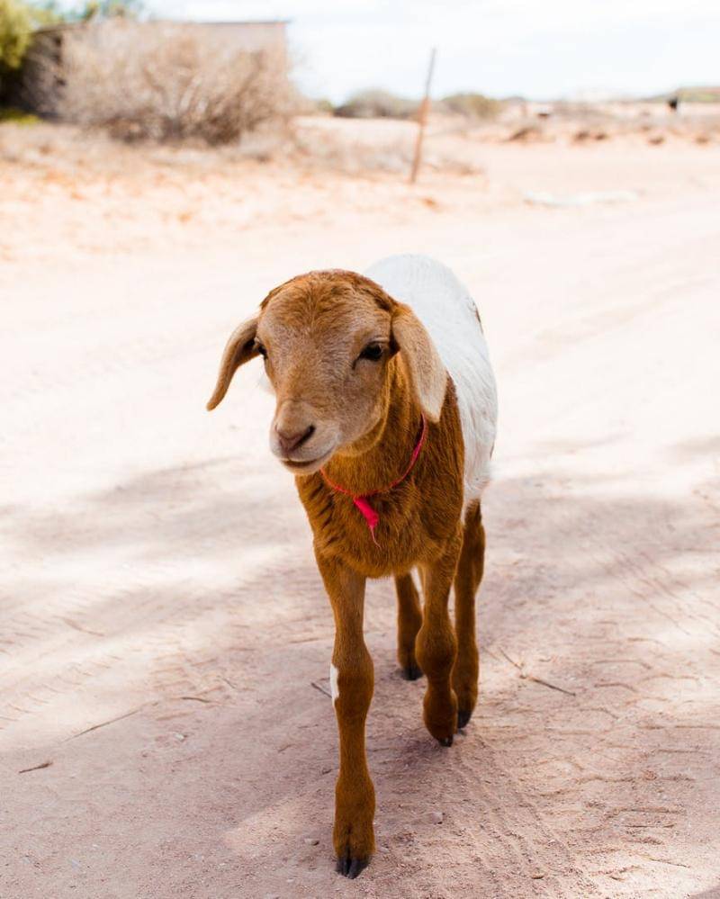 Pexels/Rachel Claire