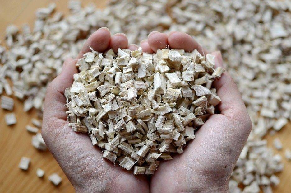 ilustrasi akar marshmallow (heartofwellness.org)