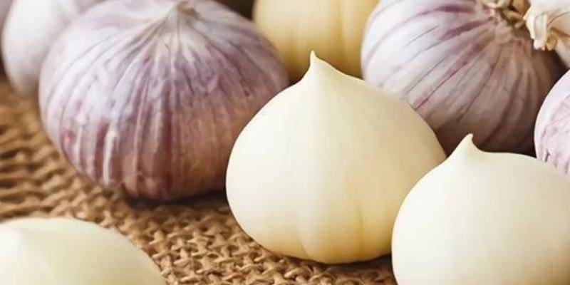 Instagram/wonderjus.id