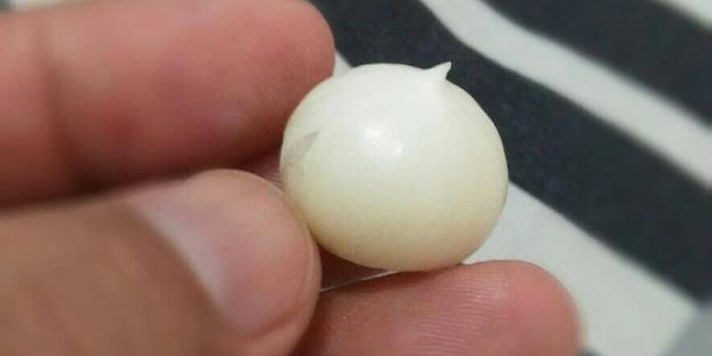 Instagram/francbastianagus