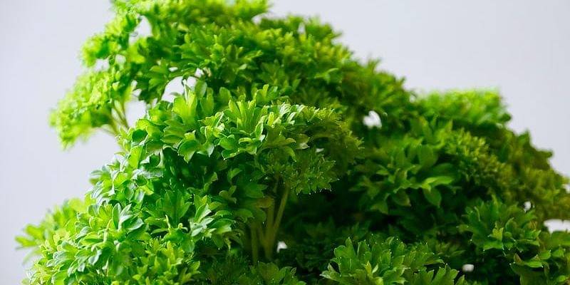 Unsplash/Hanna Stolt