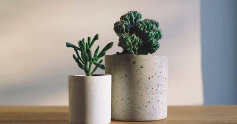 Unsplash/Fredmarriage