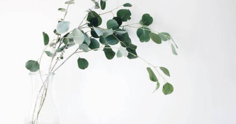 Unsplash/Jazminantoinette