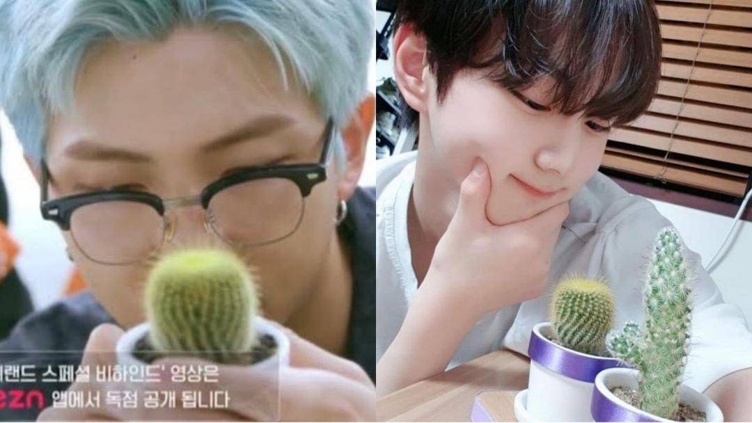 Twitter.com/RMBASEINA