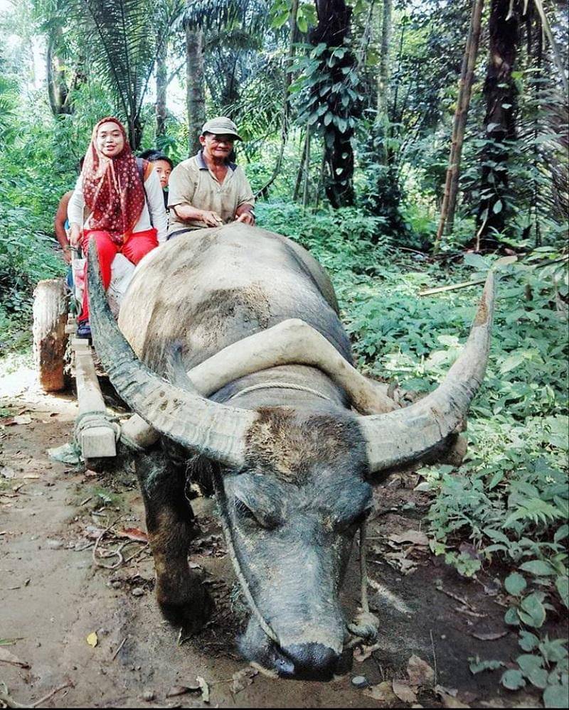 instagram.com/riaricis1795