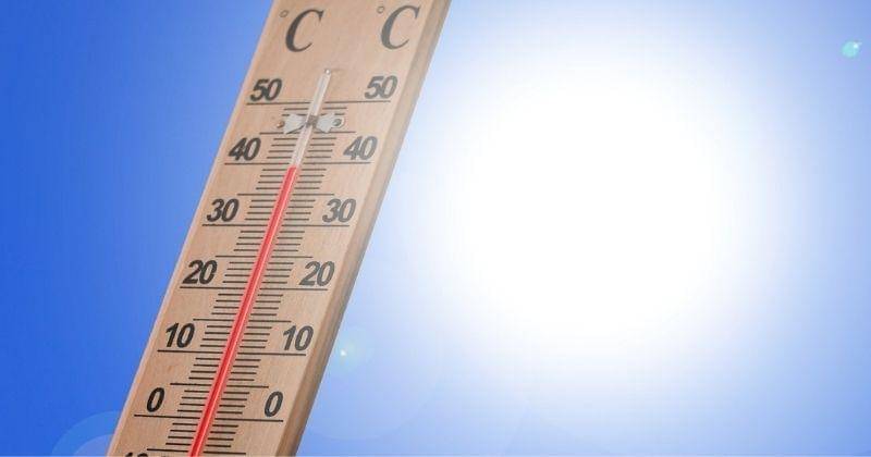 Pixabay/Gerd Altmann