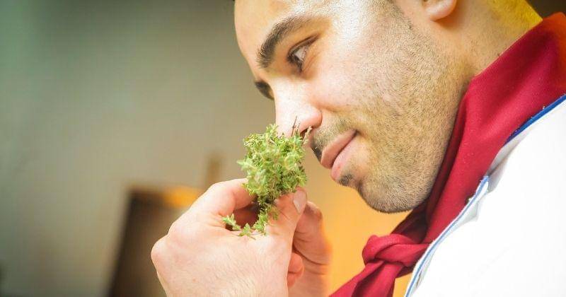 Pixabay/RestaurantAnticaRoma