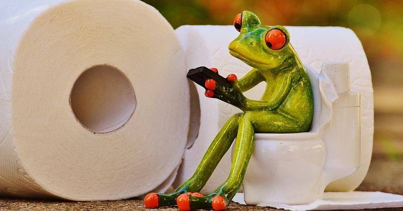 Pixabay/alexas_fotos