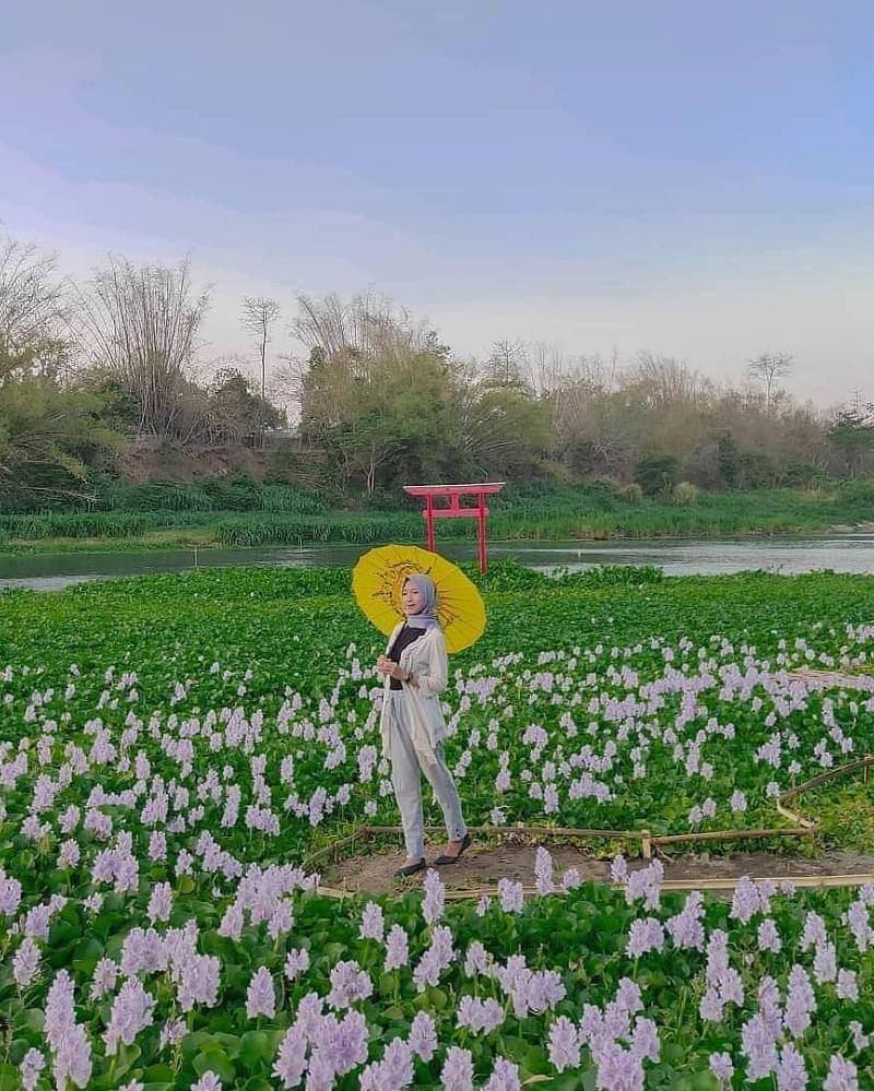 Instagram.com/amoebarentalkamerajogja