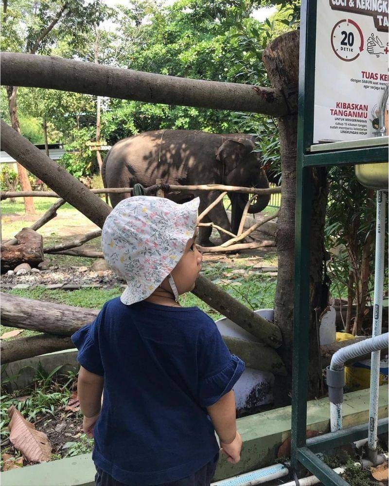 Instagram.com/risanti16