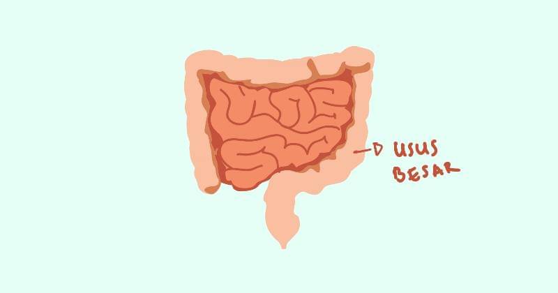 Popmama.com/Devi Ari Rahmadhani