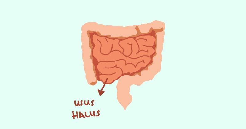 Popmama.com/Devi Ari Rahmadhani