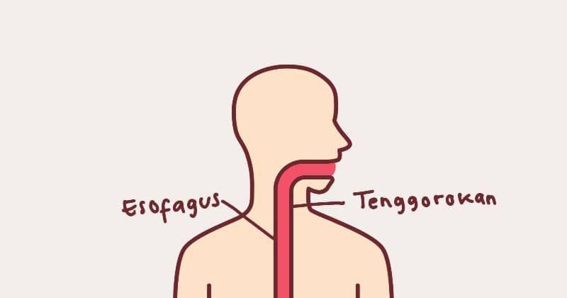 Popmama.com/Devi Ari Rahmadhani