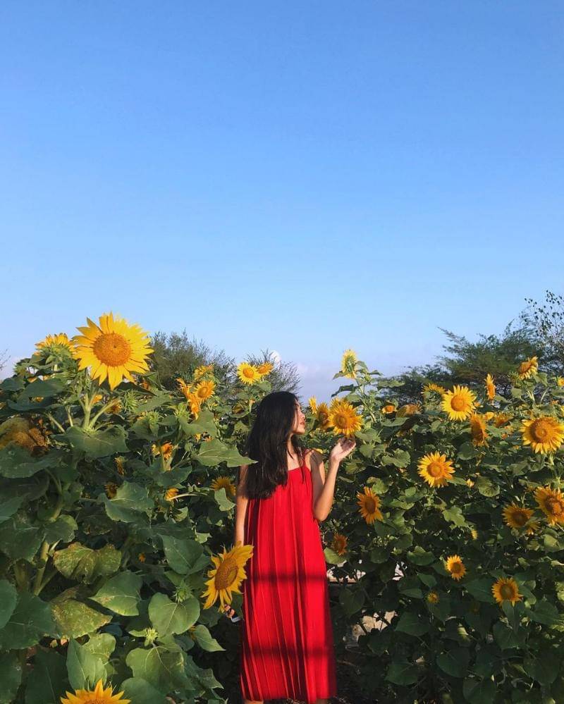 Instagram.com/alikaislamadina