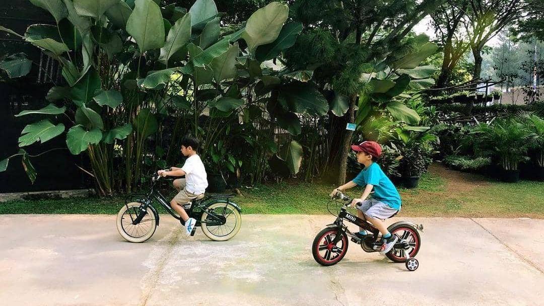 Instagram.com/tentangtiwi