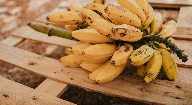 Pexels/Louis Quintero