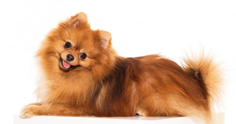 Freepik/Racool_studio