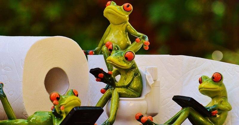 Pixabay/alexas_fotos