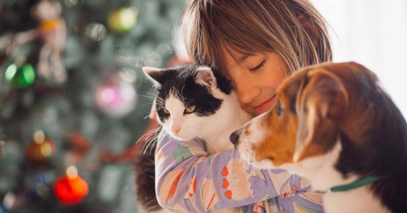 Freepik/freepic.diller