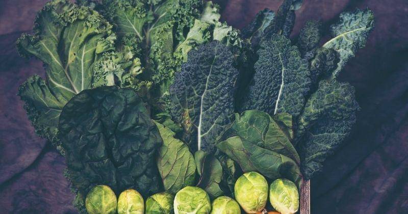 Pexels/Chokniti Khongchum