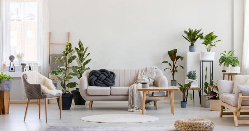 Shutterstock/Photographee.eu