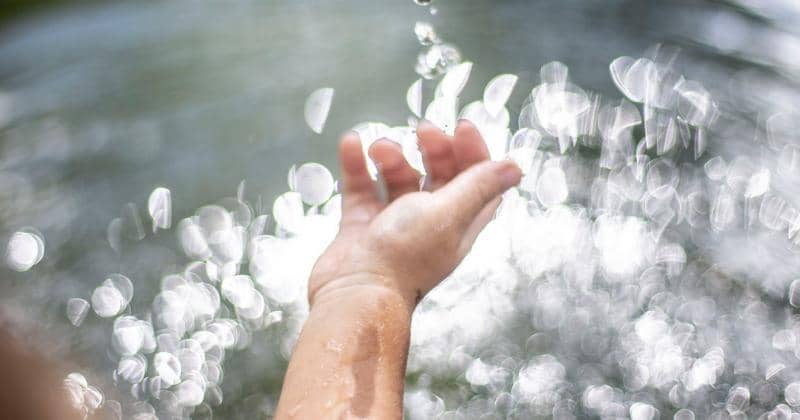 Ilustrasi - Pexels/Dalila Dalprat