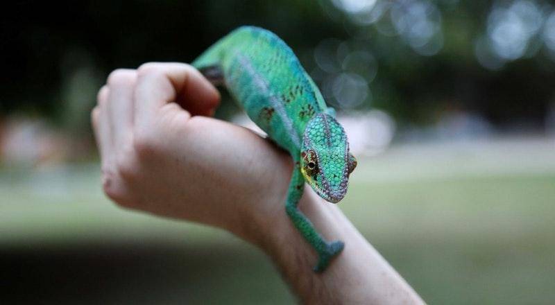 Pexels/Laura Parenti