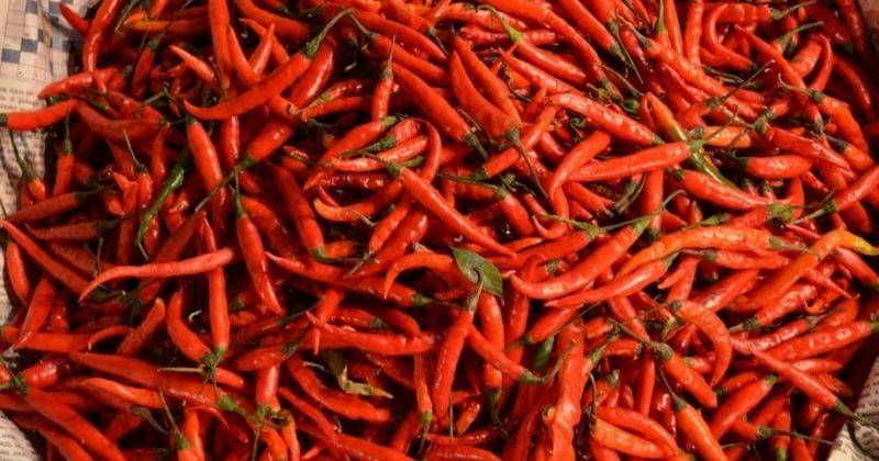 Unsplash/Shubhangigambhir