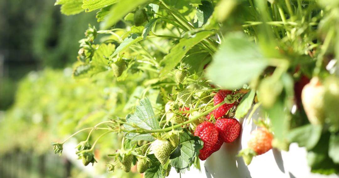 Pexels/David J. Boozer