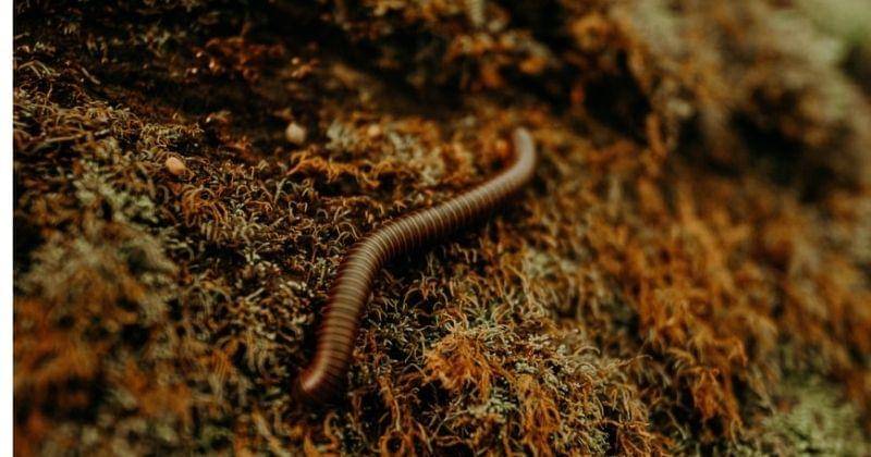 Unsplash/Seansinspired