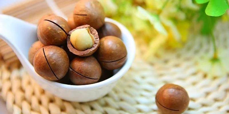 Pixabay/sunnysun0804