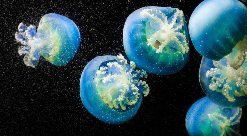 Pexels/Capture Blinks