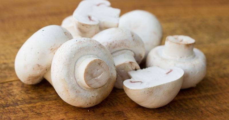 Freepik/photoroyalty