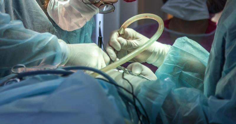 Unsplash/Olga Guryanova