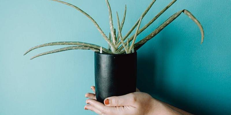 Pexels/Ave Calvar Martinez