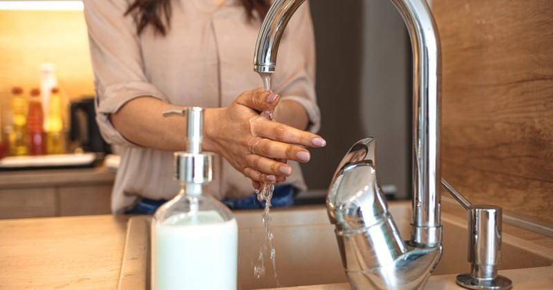 Shutterstock/Dragana Gordic