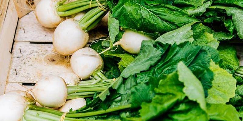 Pexels/Daria Shevtsova