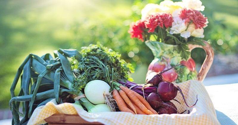 Pixabay/jillWellington