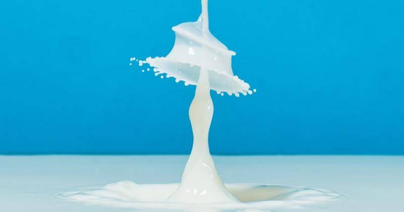 18 Rekomendasi Merek Susu Rendah Lemak untuk Diet dan Harga