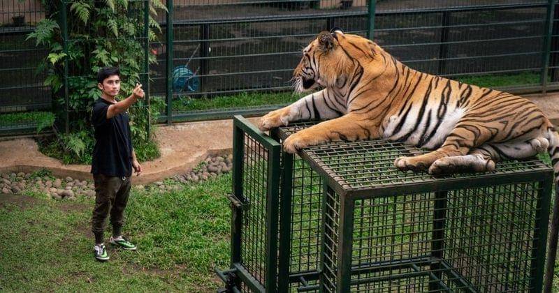 Instagram.com/alshadahmad/