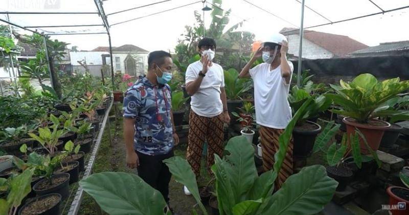 Youtube.com/TAULANY TV