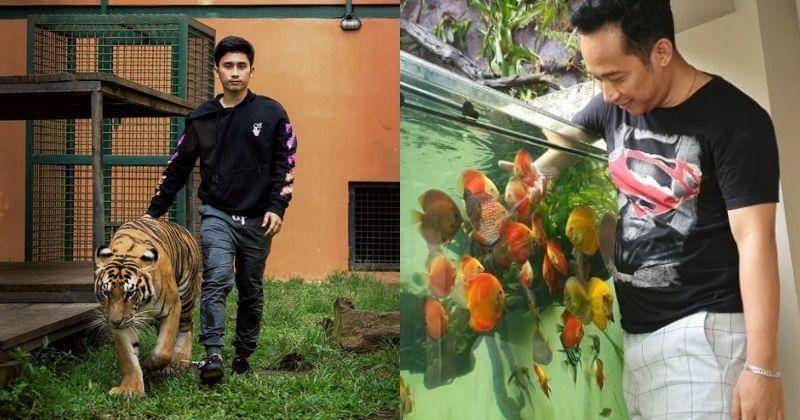 Instagram.com/alshadahmad/ & Instagram.com/dennycagur/