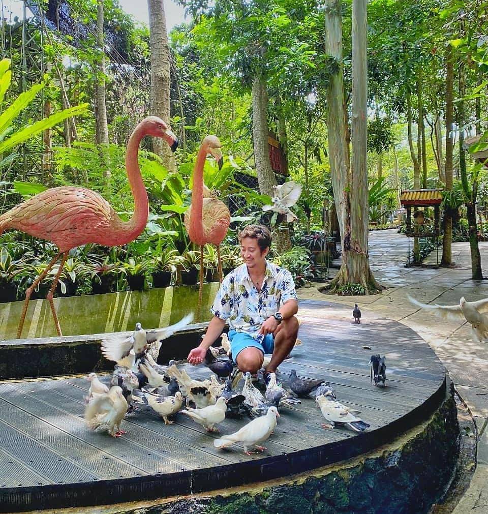 Instagram/birdbromeliapavilion