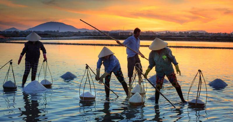 Pexels/Quang Nguyen Vinh