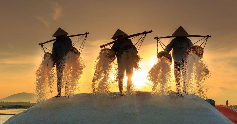 Pexels/Quang Nguyen Vinh