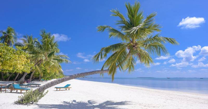 Pexels/Asad Photo Maldiv